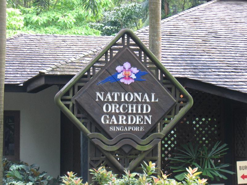 IMG_0383.JPG - Singapore's Botanical Gardens